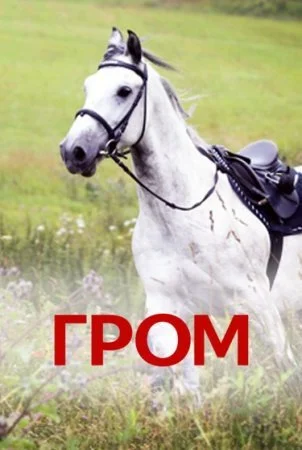 сериал Гром