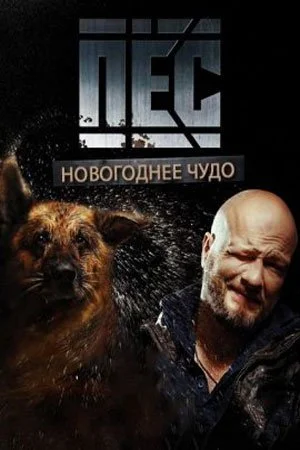 Обложка Новогодний Пёс сериалу