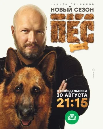 сериал Пёс 6 сезон