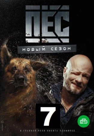 сериал Пёс 7 сезон