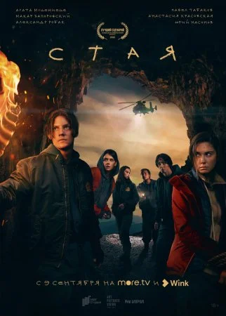 сериал Стая