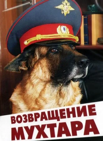 сериал Возвращение Мухтара