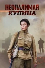 Постер к сериалу Неоконченный бой